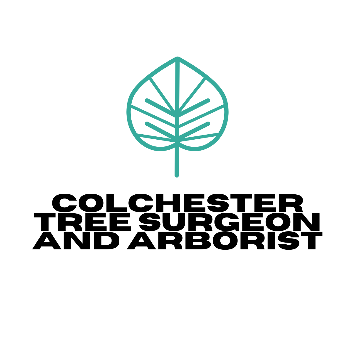 Colchester Tree Surgeon And Arborist