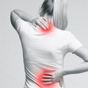 WalterBessy WalterBessy