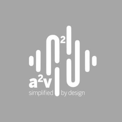 A2v Consulting  Group